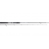 CANNE TOURNAMENT DAIWA SW AGS