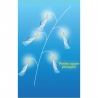 LEURRE A BAR FLASHMER 3 & 5 HAMECON